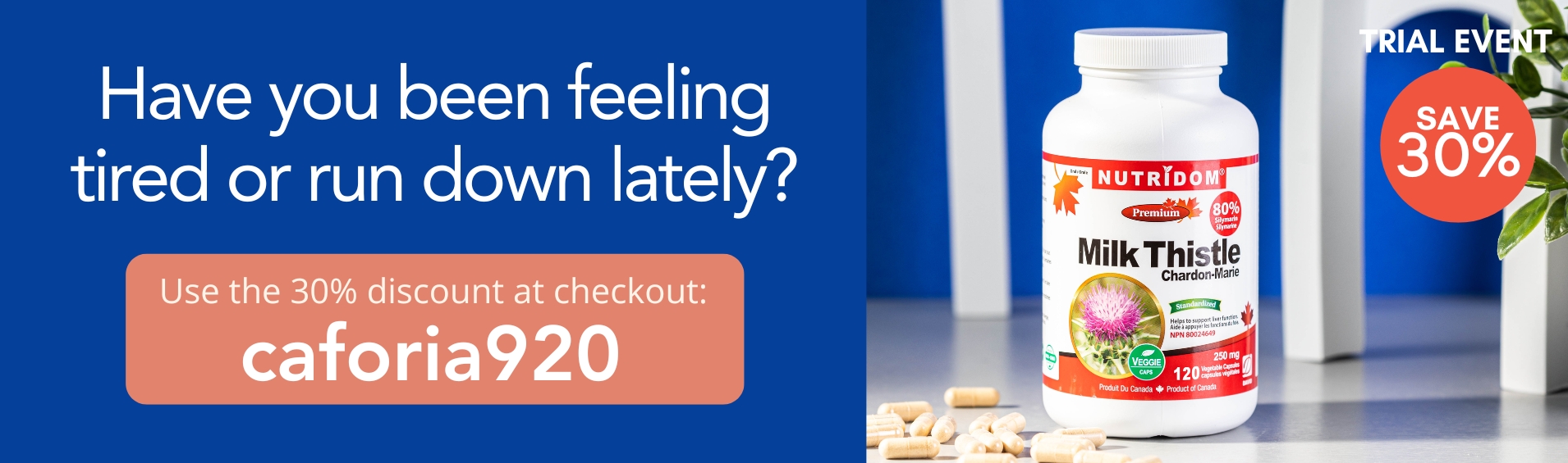 caforia-banner.jpg