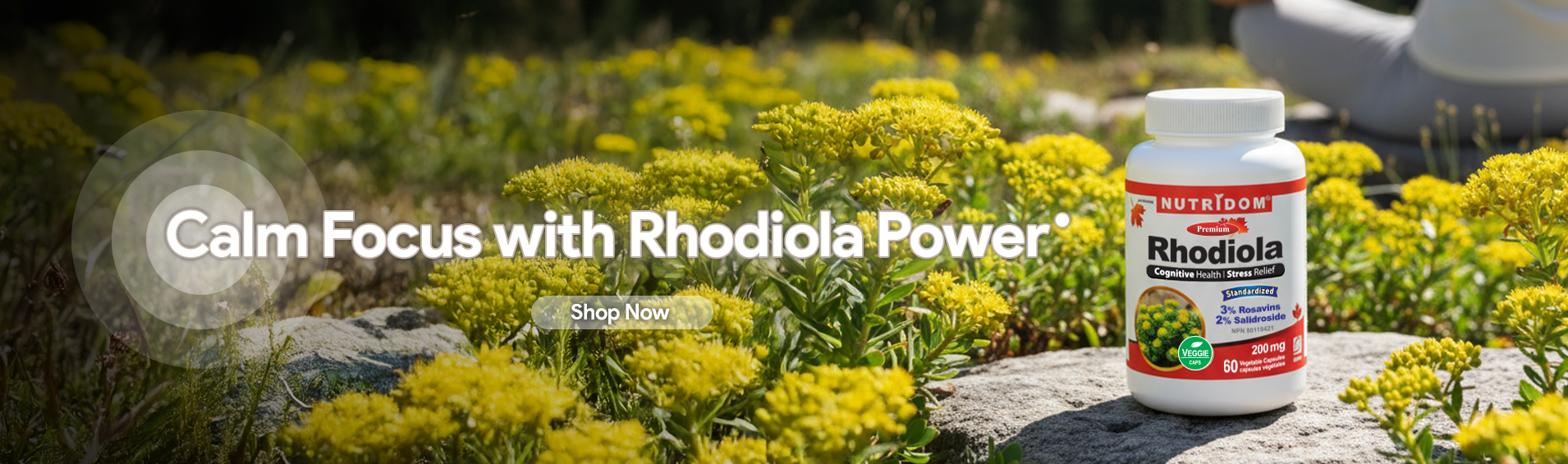 Rhodiola